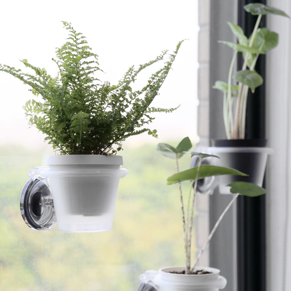 S66 Samurai Suction Cup Plant Pot Holder